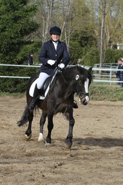 Bild 1321 - WBO-Turnier am 9.4.11
